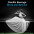 Camille Sauvage et son Orchestre