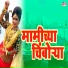 Shubhangi Jhoshi, Mahesh Hiremath
