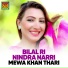 Mewa Khan Thari
