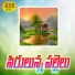 Singer Swamy