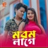 amir hamza, Sujan Khan