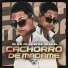 MC K.K, GP DA ZL, MC Viciante feat. Love Funk