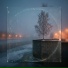 Savely Grachev