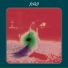 Folk9