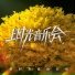 孙悦 Sun Yue