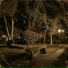 Ponce
