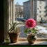 Ton.IA, Anton.IA