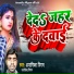 Anamika Nigam, Shailendar Nigam