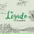 Zé Leônidas