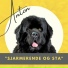 Anton