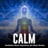 Meditation Music Experience, Zen Music Garden