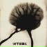 Wtbsk
