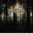 Engraved Disillusion