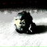 ch3pus
