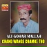 Ali Gohar Mallah