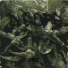 PxycxZ