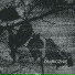 Thomas & Asia