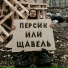 СНИМАЙ!