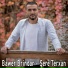 Bawer Brindar