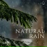 Recording Nature