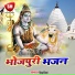 Vinay Bihari