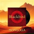 Blackbird