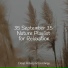 Massage, Meditation Awareness, Studying Music