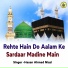 Hasan Ahmad Niazi