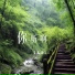 王沫