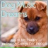 Dog Music Dreams, Dog Music, Dog Music Therapy