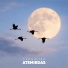 Atemirdas