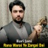 Bari Jani