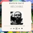 Marvin Gaye