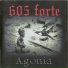 605 Forte