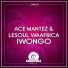 Ace Mantez, LeSoul WaAfrica