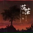张大美