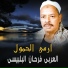 El Araby Farhan El Belbesy