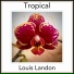 Louis Landon