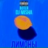 BOTER, Dj Misha