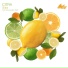 CITRA
