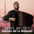 Adrian de la Bobesti