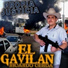 Ricardo Cerda El Gavilan