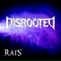 Disrooted