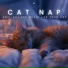 RelaxMyCat