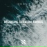 Spectorsonic, Alex BELIEVE, Aniølkü
