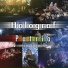 Holograf