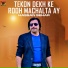 Hassan Sehar
