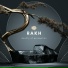 Rakh