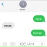 ICEA11
