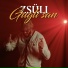 Zsüli